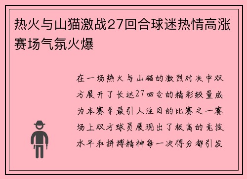 热火与山猫激战27回合球迷热情高涨赛场气氛火爆